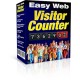 Easy Web Visitor Counter