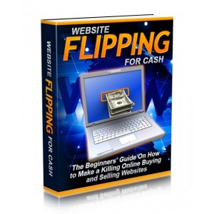 Website Flipping For Cash Buy & Sell Websites For Profit
