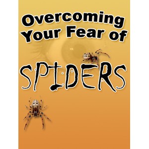 Overcoming Arachnophobia How To Conquer Your Fear of Spiders