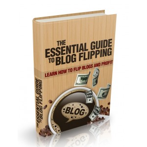 Essential Guide To Blog Flipping - Learn How To Flip Blogs