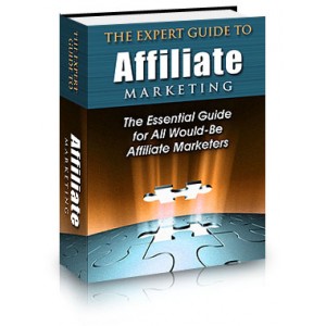 The Expert Guide To Affiliate Marketing - (MRR)