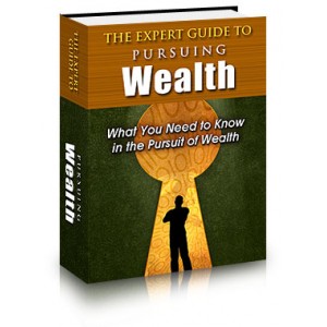 The Expert Guide to Pursuing Wealth - (MRR)