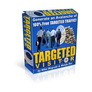 Targeted Visitor 100 Free Traffic