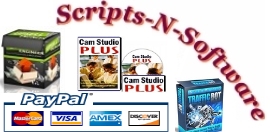 Scripts N Software Biz