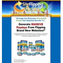 Site Flipping Riches - Flipping Brand New Websites